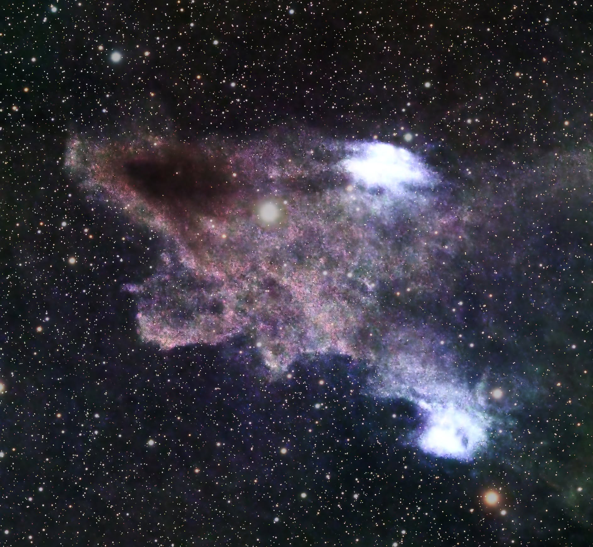 Dark Shark Nebula