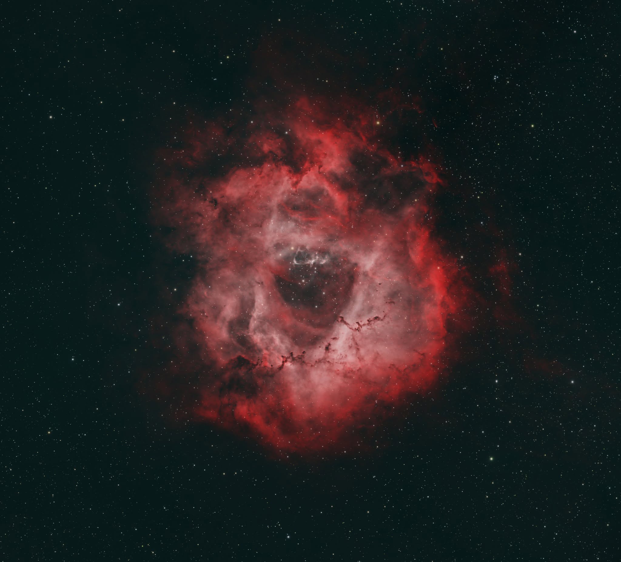 Rosette Nebula