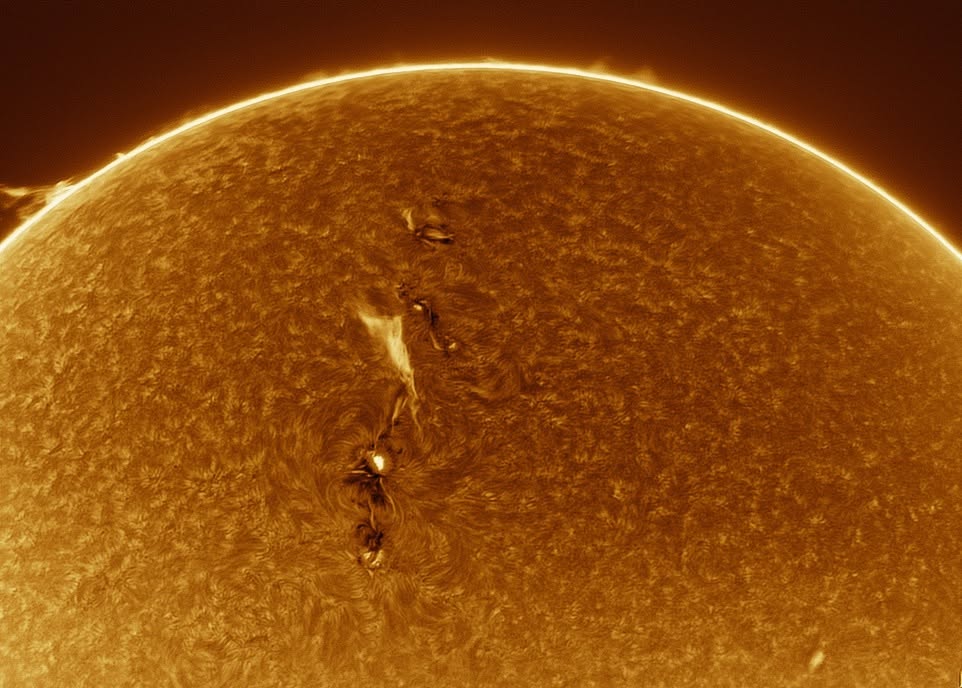 Solar active region
